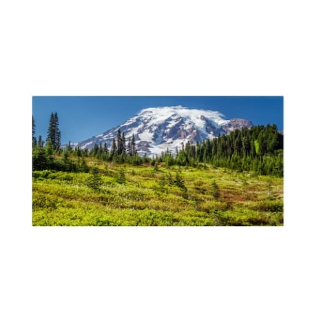 Pierre Leclerc 'Mount Rainier Meadow' Canvas Art,16x32